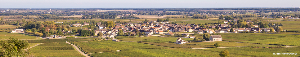 Banniere Commune de Puligny-Montrachet